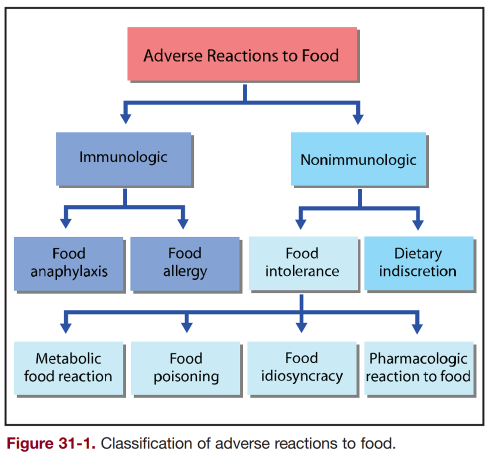 Food allergies – the ultimate guide